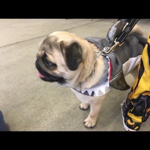 Meet your Posher, Sally